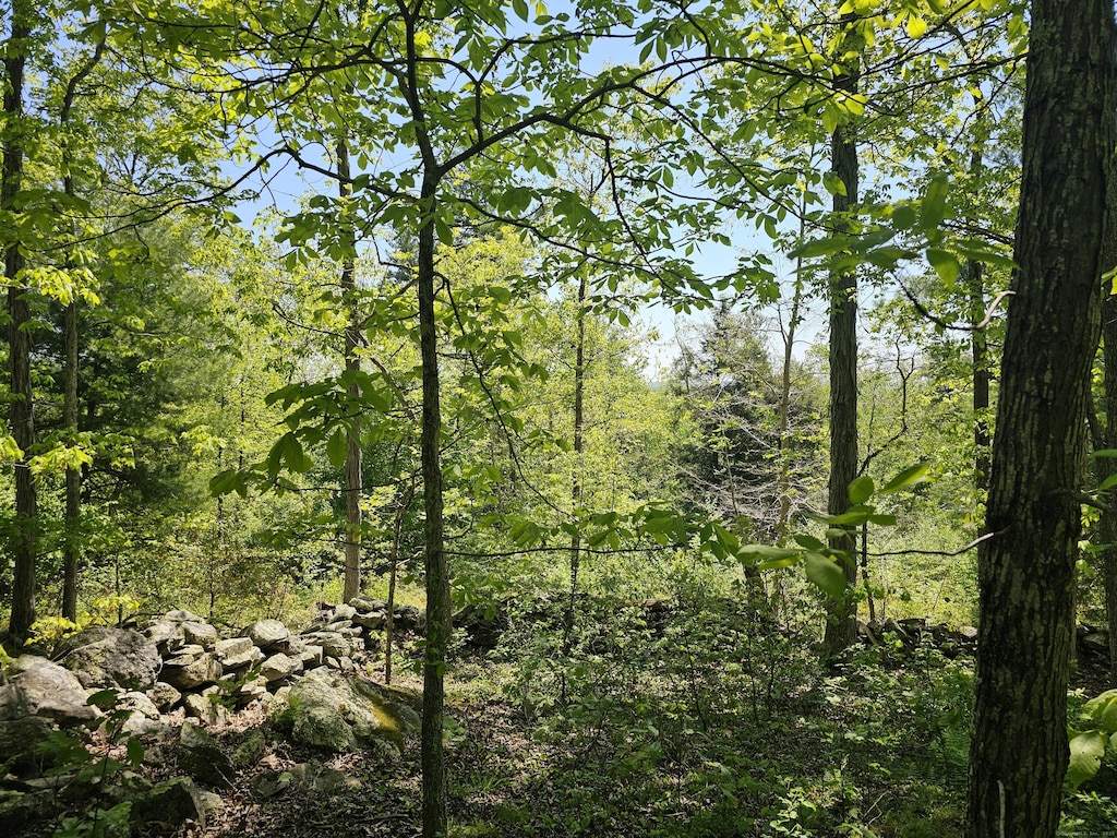 Appell Rd, Brooklyn, CT 06234