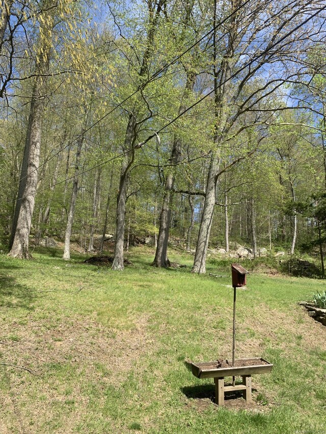 35 Mist Hill Dr, New Milford, CT 06776 - photo 4