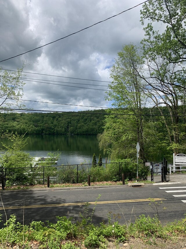 35 Mist Hill Dr, New Milford, CT 06776 - photo 26