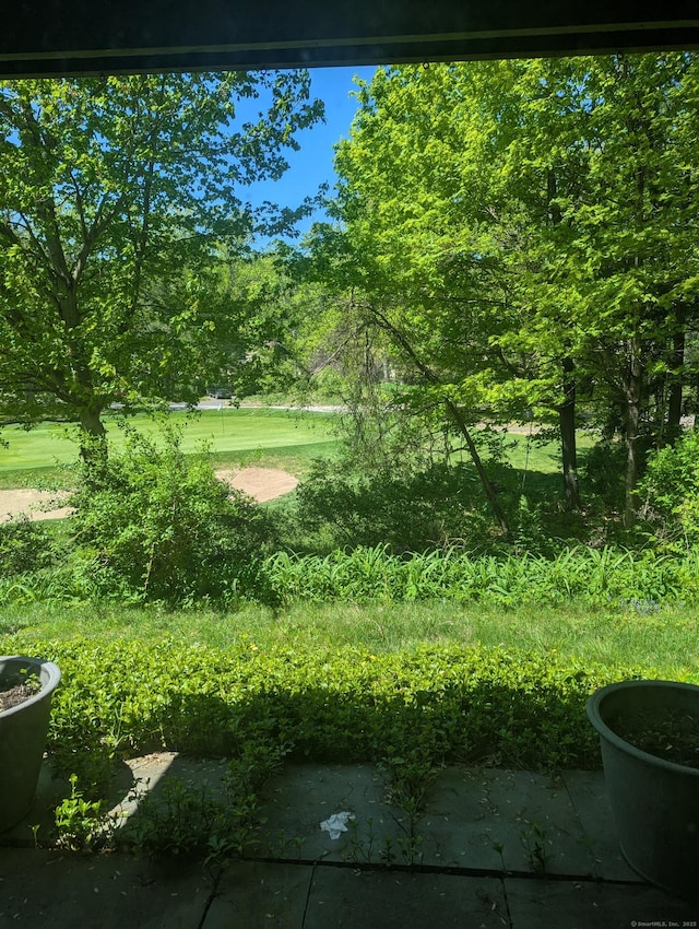 151 Heritage Vlg Unit B, Southbury, CT 06488 - view of yard