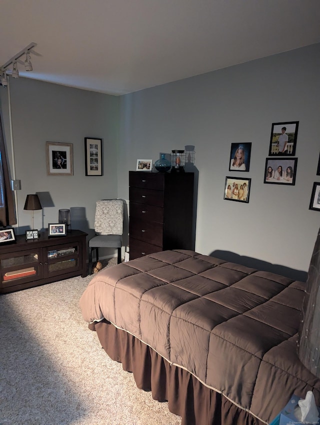 151 Heritage Vlg Unit B, Southbury, CT 06488 - bedroom featuring carpet floors and track lighting