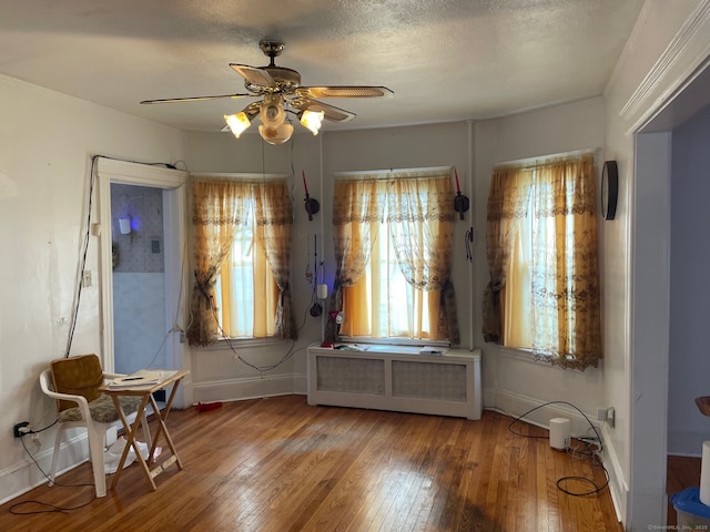 190 Holcomb St, Hartford, CT 06112 - foyer with radiator, ceiling fan, healthy amount of natural light, and wood-type flooring