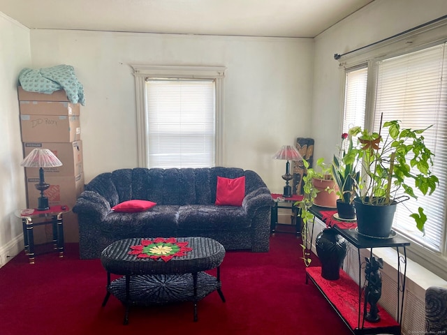 190 Holcomb St, Hartford, CT 06112 - carpeted living area featuring healthy amount of natural light