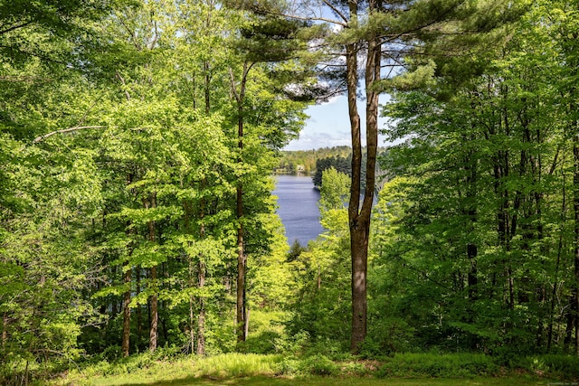 455 Milton Rd, Goshen, CT 06756 - water view with a heavily wooded area