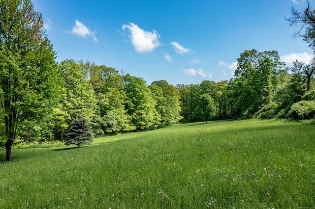 455 Milton Rd, Goshen, CT 06756 - view of yard with a view of trees