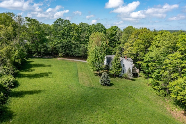455 Milton Rd, Goshen, CT 06756 - view of grassy yard with a forest view