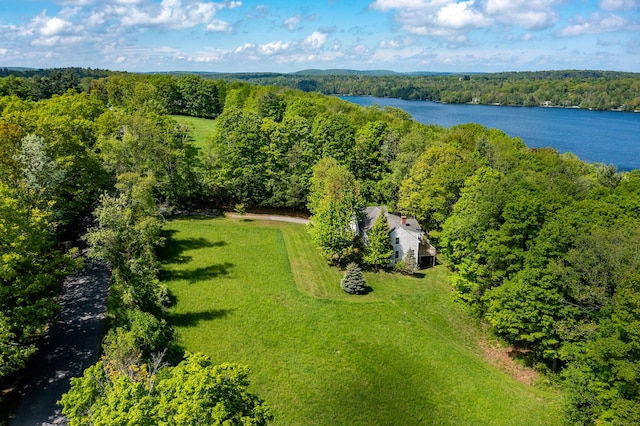 455 Milton Rd, Goshen, CT 06756 - aerial view of property and surrounding area with a heavily wooded area and a nearby body of water