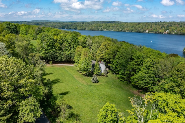455 Milton Rd, Goshen, CT 06756 - aerial view of a forest and a nearby body of water