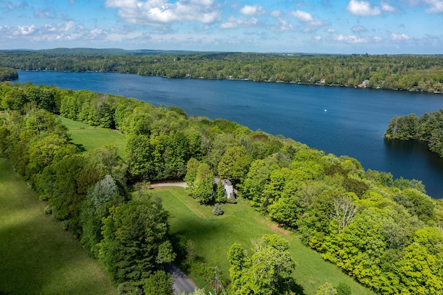 455 Milton Rd, Goshen, CT 06756 - aerial view of a heavily wooded area and a large body of water