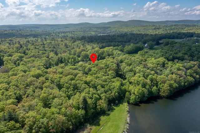 455 Milton Rd, Goshen, CT 06756 - bird's eye view of a heavily wooded area and a large body of water