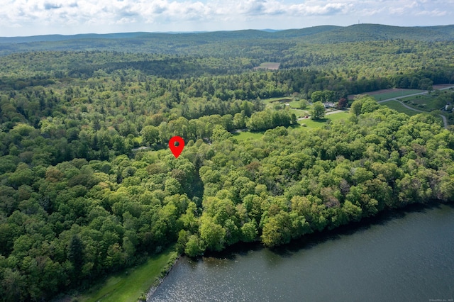 455 Milton Rd, Goshen, CT 06756 - drone / aerial view of a forest and a large body of water