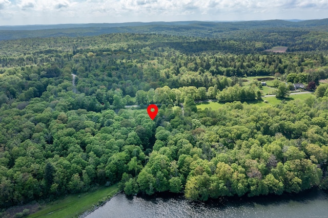 455 Milton Rd, Goshen, CT 06756 - aerial view of a heavily wooded area and a nearby body of water