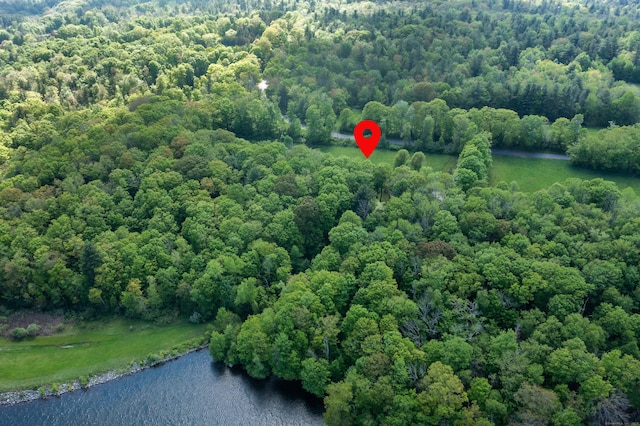 455 Milton Rd, Goshen, CT 06756 - drone / aerial view of a large body of water and a heavily wooded area