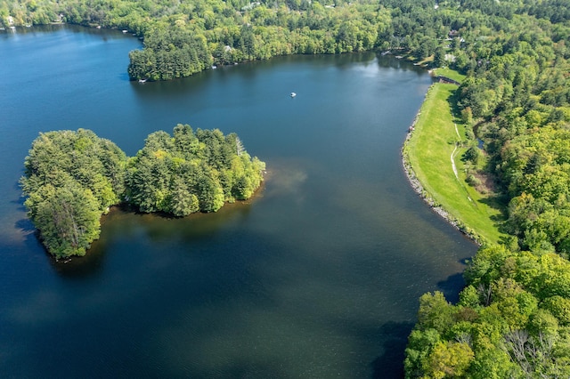 455 Milton Rd, Goshen, CT 06756 - bird's eye view of a forest and a nearby body of water