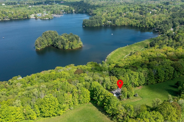 455 Milton Rd, Goshen, CT 06756 - aerial overview of property's location featuring a forest and a nearby body of water