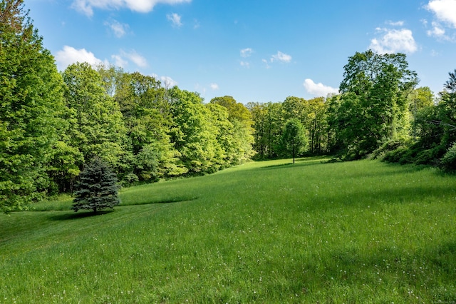 455 Milton Rd, Goshen, CT 06756 - view of green lawn