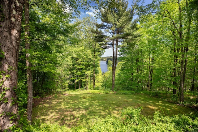 455 Milton Rd, Goshen, CT 06756 - view of yard with a forest view and a water view