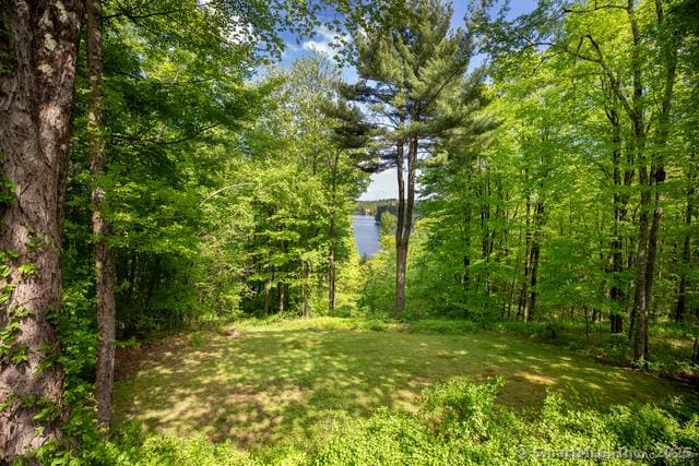 455 Milton Rd, Goshen, CT 06756 - photo 10