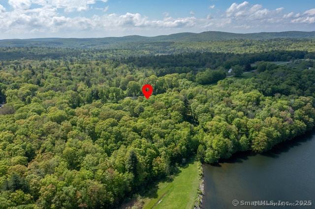 455 Milton Rd, Goshen, CT 06756 - photo 15