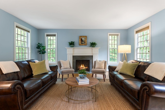 14 Fernhurst, Farmington, CT 06032 - living area with a fireplace with flush hearth