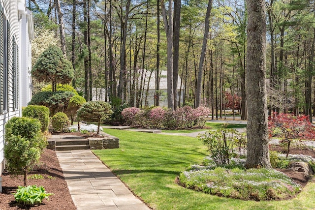 14 Fernhurst, Farmington, CT 06032 - view of grassy yard