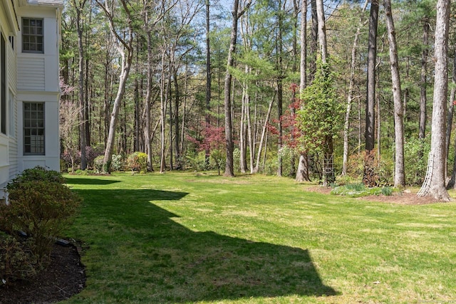 14 Fernhurst, Farmington, CT 06032 - view of grassy yard