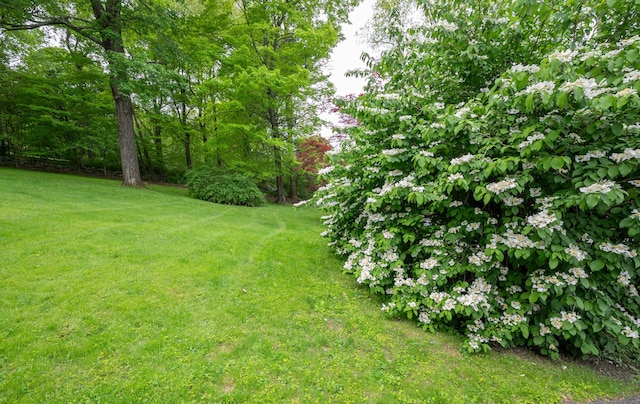 5 Old Bethel Rd, Newtown, CT 06470 - view of grassy yard