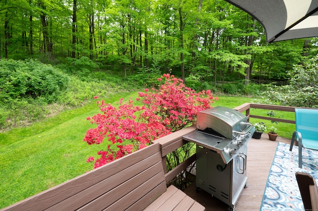 5 Old Bethel Rd, Newtown, CT 06470 - wooden deck with grilling area and a lawn