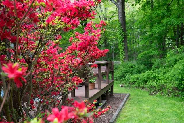5 Old Bethel Rd, Newtown, CT 06470 - view of yard