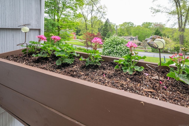 5 Old Bethel Rd, Newtown, CT 06470 - view of yard