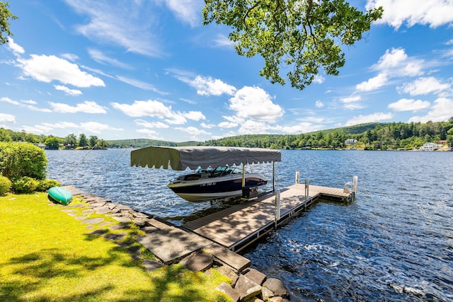 424 E Wakefield Blvd, Winchester, CT 06098 - dock with a water view and a view of trees