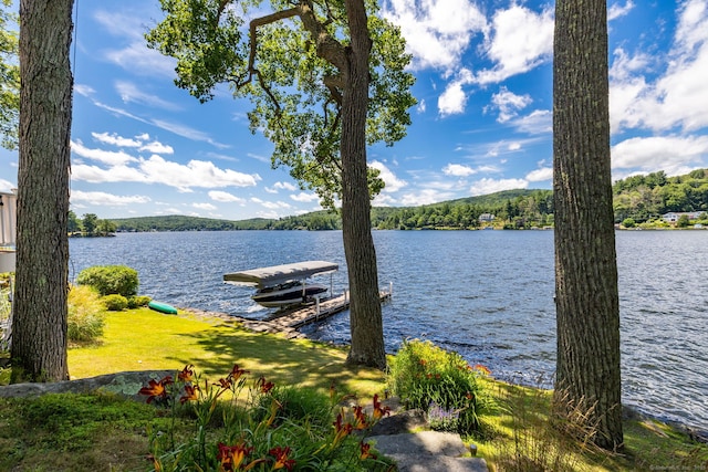 424 E Wakefield Blvd, Winchester, CT 06098 - dock area featuring a water view