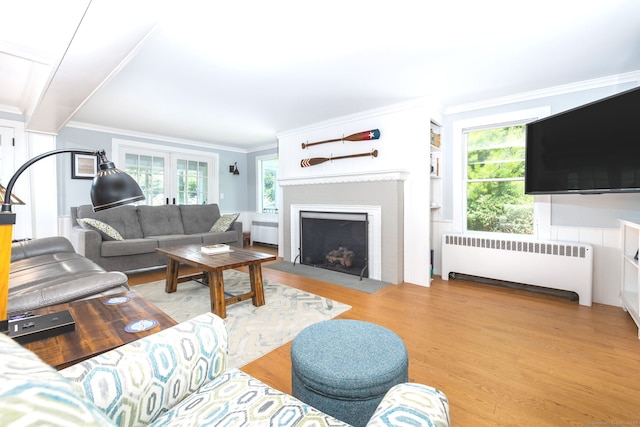 424 E Wakefield Blvd, Winchester, CT 06098 - living area with radiator, light wood finished floors, ornamental molding, and a fireplace with flush hearth