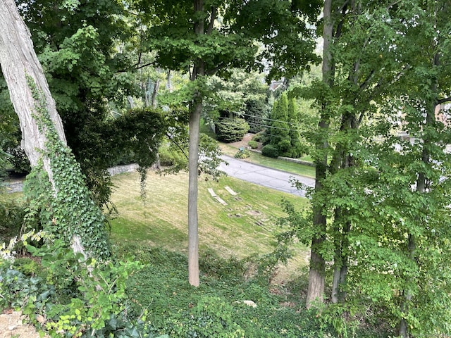 6 Stony Point Rd, Westport, CT 06880 - photo 6