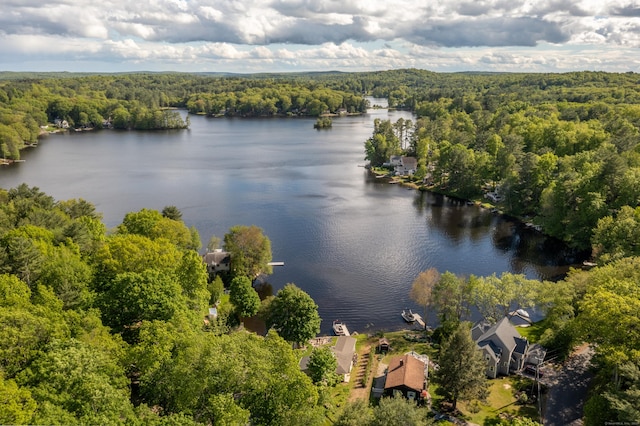 72 Lake View Dr, Woodstock, CT 06281 - aerial view of a heavily wooded area and a large body of water