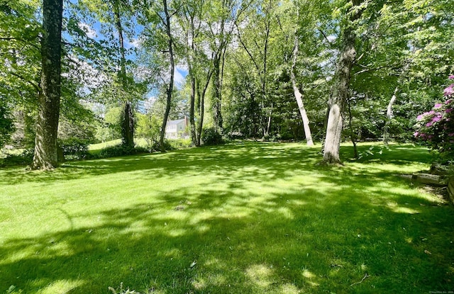 41 Blue Ridge Dr, Simsbury, CT 06089 - view of grassy yard