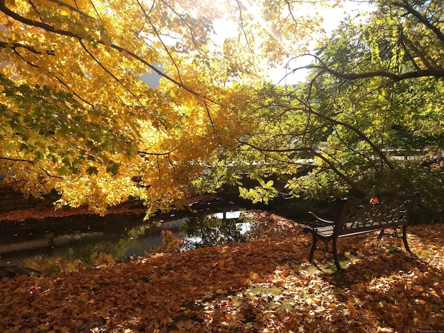 92 Main St Unit 214, Deep River, CT 06417 - view of nature