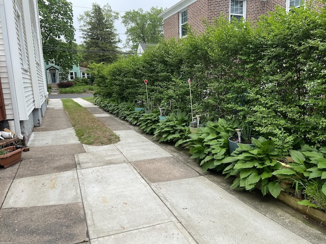 40 Bellevue Rd, New Haven, CT 06511 - view of yard