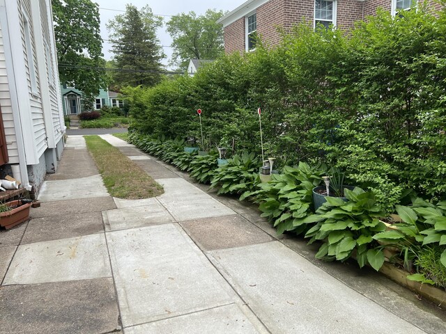 40 Bellevue Rd, New Haven, CT 06511 - view of yard