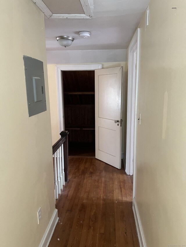 40 Bellevue Rd, New Haven, CT 06511 - corridor featuring electric panel, dark wood-type flooring, and baseboards