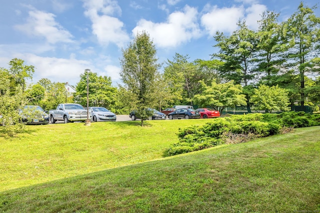 421 Tolland St Unit 312, East Hartford, CT 06108 - view of green lawn