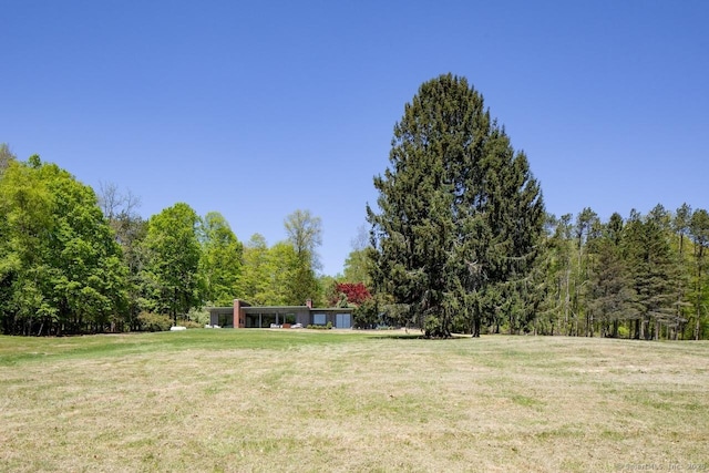 136 Belgo Rd, Salisbury, CT 06039 - view of grassy yard featuring a forest view