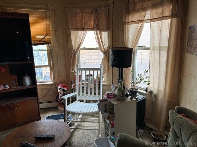19 Wakefield Ct, New Britain, CT 06053 - living area featuring baseboard heating