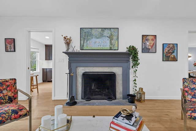 2 Quanaduck Cove Ct Unit 2, Stonington, CT 06378 - living room with wood finished floors, crown molding, baseboards, and a fireplace with flush hearth