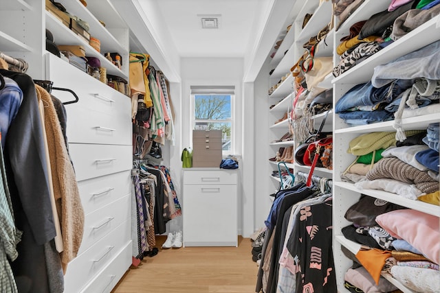 2 Quanaduck Cove Ct Unit 2, Stonington, CT 06378 - walk in closet featuring light wood-style floors
