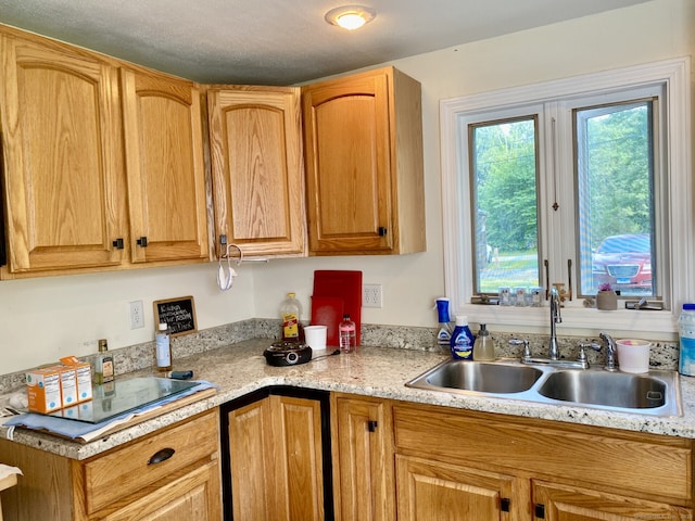52 Lake View Ave, Salem, CT 06420 - kitchen featuring a sink