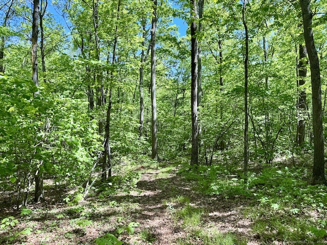 Kenmont Rd, Kent, CT 06757