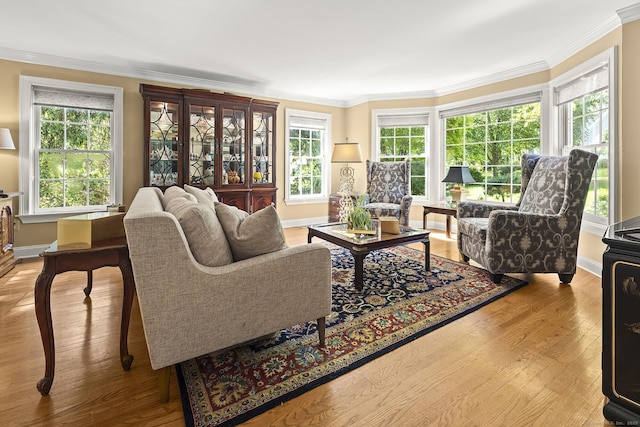 23 Mckeon Pl, Ridgefield, CT 06877 - living room with crown molding, baseboards, and plenty of natural light