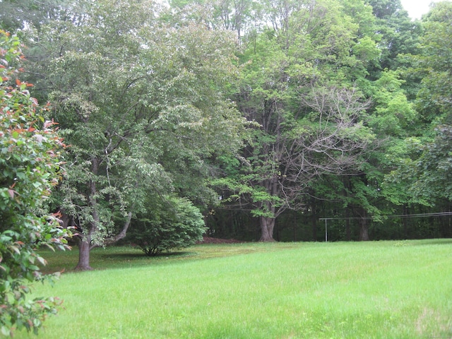 1071 River Blvd, Suffield, CT 06078 - view of green lawn featuring a view of trees
