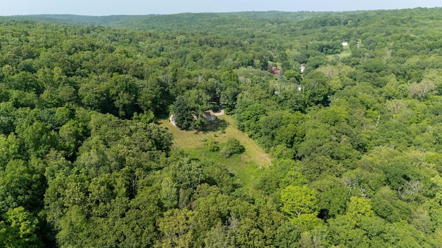 143 Clark Hill Rd, East Haddam, CT 06423 - aerial view of property's location with a forest